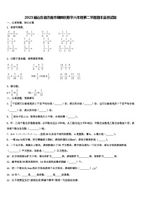 2023届山东省济南市槐荫区数学六年级第二学期期末监测试题含解析