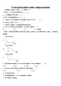 2023届上海市宝山区数学六年级第二学期期末达标检测试题含解析