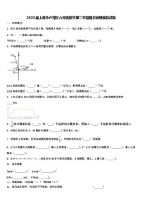 2023届上海市卢湾区六年级数学第二学期期末调研模拟试题含解析