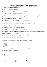 2023届上海市松江区九亭二小数学六下期末考试试题含解析