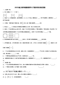 2023届上海市杨浦区数学六下期末综合测试试题含解析