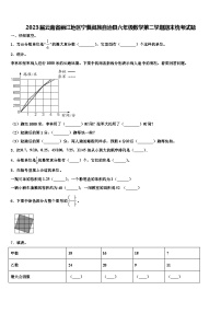 2023届云南省丽江地区宁蒗彝族自治县六年级数学第二学期期末统考试题含解析