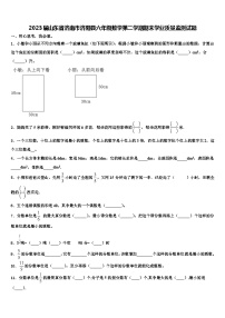 2023届山东省济南市济阳县六年级数学第二学期期末学业质量监测试题含解析