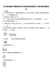 2023届云南省怒江傈僳族自治州兰坪白族普米族自治县数学六下期末达标检测模拟试题含解析