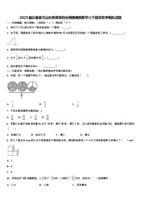 2023届云南省文山壮族苗族自治州西畴县数学六下期末统考模拟试题含解析