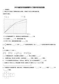 2023届吉安市安福县数学六下期末综合测试试题含解析