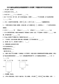 2023届凉山彝族自治州德昌县数学六年级第二学期期末教学质量检测试题含解析