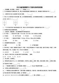 2023届吉隆县数学六下期末达标检测试题含解析