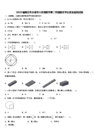 2023届商丘市永城市六年级数学第二学期期末学业质量监测试题含解析