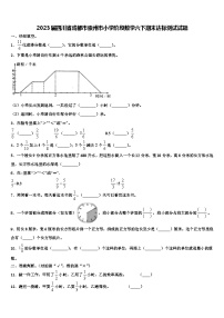 2023届四川省成都市崇州市小学阶段数学六下期末达标测试试题含解析