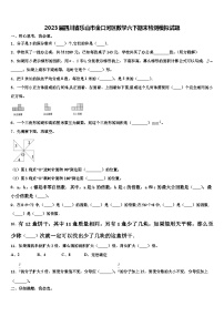 2023届四川省乐山市金口河区数学六下期末检测模拟试题含解析