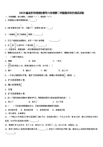 2023届吴忠市利通区数学六年级第二学期期末综合测试试题含解析