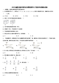 2023届四川省泸州市龙马潭区数学六下期末考试模拟试题含解析