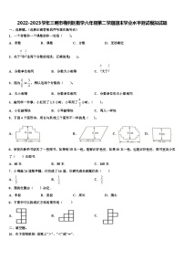 2022-2023学年三明市梅列区数学六年级第二学期期末学业水平测试模拟试题含解析