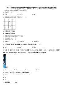 2022-2023学年云南师范大学附属小学数学六下期末学业水平测试模拟试题含解析