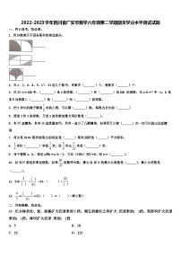 2022-2023学年四川省广安市数学六年级第二学期期末学业水平测试试题含解析