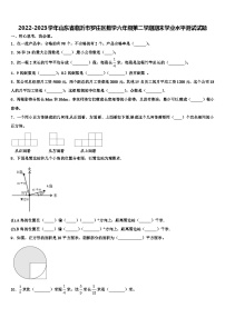 2022-2023学年山东省临沂市罗庄区数学六年级第二学期期末学业水平测试试题含解析