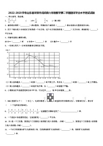 2022-2023学年山东省菏泽市成武县六年级数学第二学期期末学业水平测试试题含解析