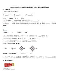 2022-2023学年抚顺市抚顺县数学六下期末学业水平测试试题含解析