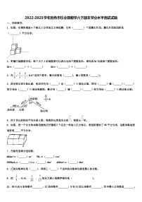 2022-2023学年百色市乐业县数学六下期末学业水平测试试题含解析