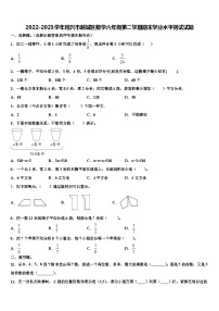 2022-2023学年绍兴市越城区数学六年级第二学期期末学业水平测试试题含解析