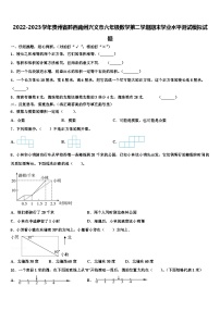 2022-2023学年贵州省黔西南州兴义市六年级数学第二学期期末学业水平测试模拟试题含解析