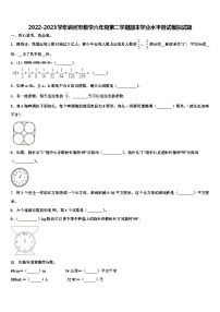 2022-2023学年讷河市数学六年级第二学期期末学业水平测试模拟试题含解析