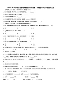 2022-2023学年运城市临猗县数学六年级第二学期期末学业水平测试试题含解析