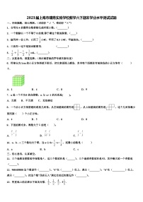 2023届上海市建青实验学校数学六下期末学业水平测试试题含解析