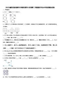 2023届四川省成都市天府新区数学六年级第二学期期末学业水平测试模拟试题含解析