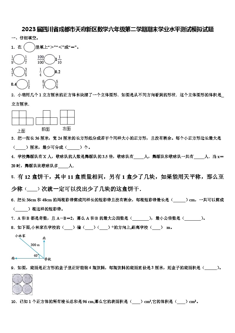 2023届四川省成都市天府新区数学六年级第二学期期末学业水平测试模拟试题含解析01