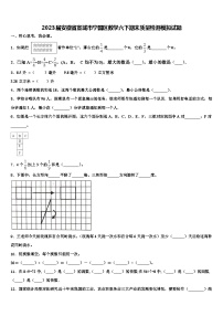 2023届安徽省宣城市宁国区数学六下期末质量检测模拟试题含解析