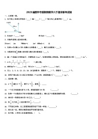 2023届四平市梨树县数学六下期末联考试题含解析