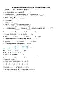 2023届天津市宝坻区数学六年级第二学期期末调研模拟试题含解析