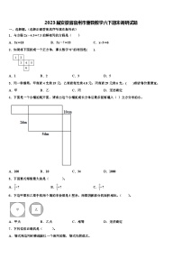 2023届安徽省宿州市萧县数学六下期末调研试题含解析