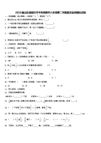 2023届山东省临沂市平邑县数学六年级第二学期期末监测模拟试题含解析