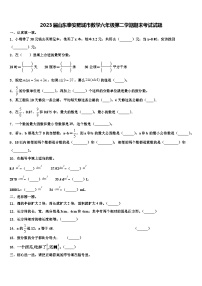 2023届山东泰安肥城市数学六年级第二学期期末考试试题含解析