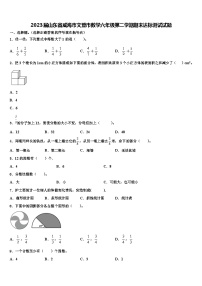 2023届山东省威海市文登市数学六年级第二学期期末达标测试试题含解析