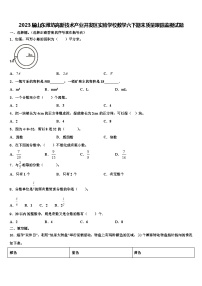 2023届山东潍坊高新技术产业开发区实验学校数学六下期末质量跟踪监视试题含解析