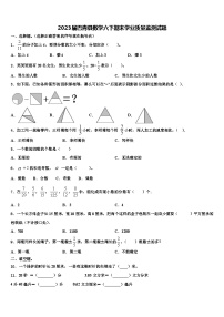 2023届巴青县数学六下期末学业质量监测试题含解析