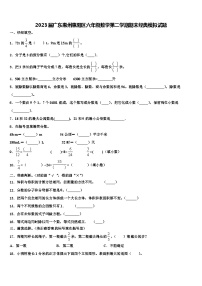 2023届广东惠州惠阳区六年级数学第二学期期末经典模拟试题含解析