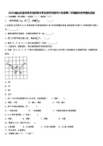 2023届山东省菏泽市成武县文亭实验学校数学六年级第二学期期末统考模拟试题含解析