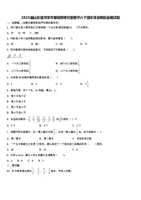 2023届山东省菏泽市郓城县研究室数学六下期末质量跟踪监视试题含解析