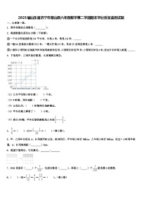 2023届山东省济宁市微山县六年级数学第二学期期末学业质量监测试题含解析