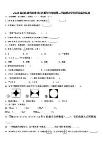 2023届山东省青岛市崂山区数学六年级第二学期期末学业质量监测试题含解析