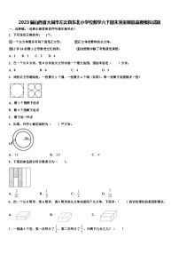 2023届山西省大同市左云县东北小学校数学六下期末质量跟踪监视模拟试题含解析