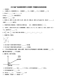 2023届广东省澄海市数学六年级第二学期期末达标测试试题含解析