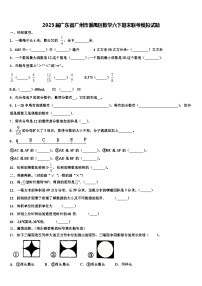 2023届广东省广州市番禺区数学六下期末联考模拟试题含解析