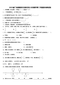 2023届广东省揭阳市空港经济区六年级数学第二学期期末调研试题含解析