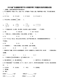 2023届广东省揭阳市普宁市六年级数学第二学期期末质量检测模拟试题含解析